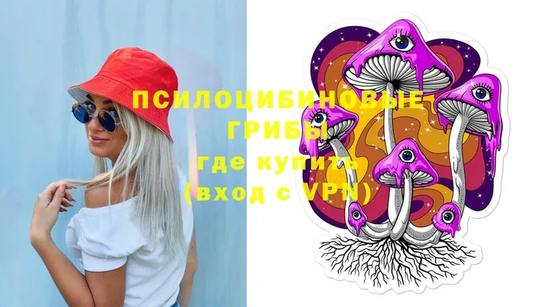 Галлюциногенные грибы Psilocybe  сколько стоит  Бузулук 